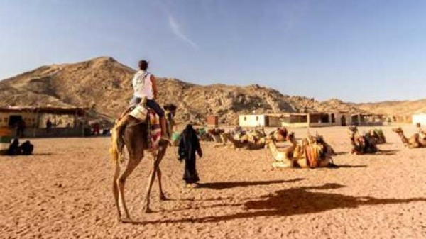 Super Desert Safari With Dinner and Show In Hurghada